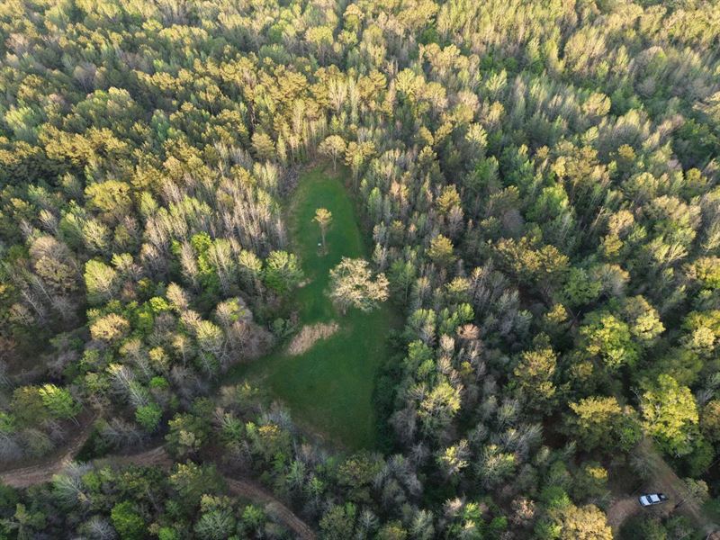 17 Acres with A Camp in Jefferson : Lorman : Jefferson County : Mississippi