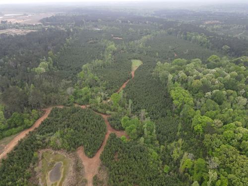 101.92 Acres in Copiah County, MS : Crystal Springs : Copiah County : Mississippi