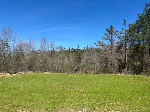 69.3 Acres in Pontotoc County, MS : Pontotoc : Mississippi