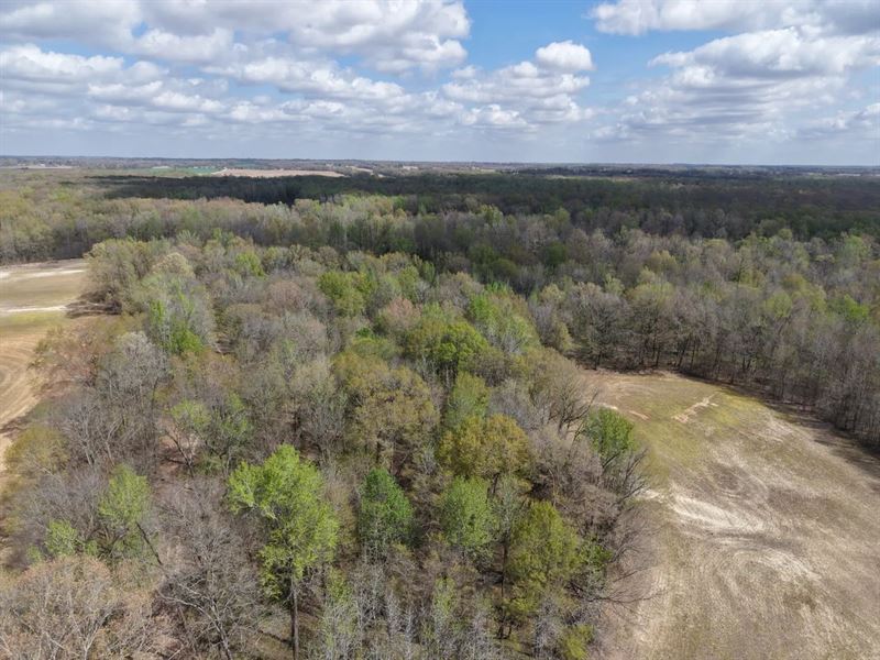 253.5 Acres in Haywood County, TN : Brownsville : Haywood County : Tennessee