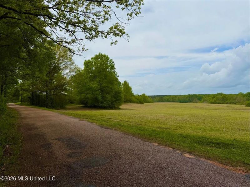 64 Pastureland West Lincoln Schoo : Smithdale : Lincoln County : Mississippi