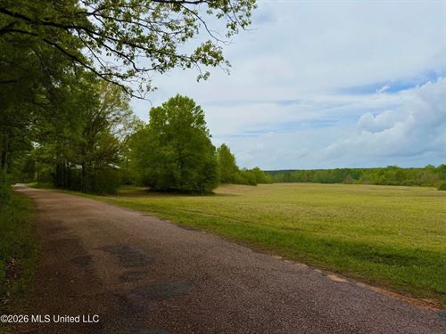 64 Pastureland West Lincoln Schoo : Smithdale : Lincoln County : Mississippi