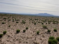 This Is What Freedom Looks Like : Veguita : Socorro County : New Mexico