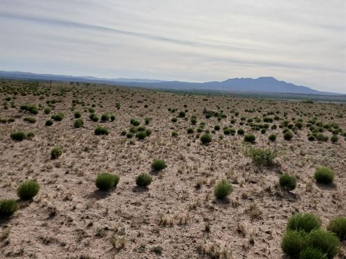 This Is What Freedom Looks Like : Veguita : Socorro County : New Mexico