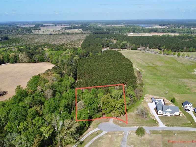 Homesite with Bath Creek Views : Bath : Beaufort County : North Carolina