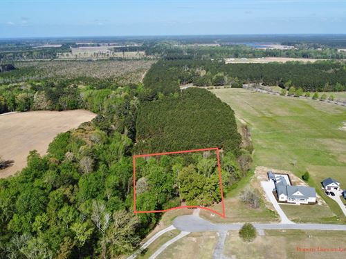Homesite with Bath Creek Views : Bath : Beaufort County : North Carolina