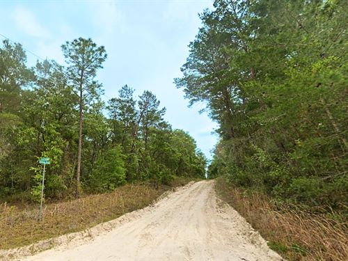 Lot Nearby Power Pole and Pond : Satsuma : Putnam County : Florida