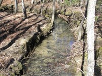 Creek, Woods, Private, Country : Spencer : Van Buren County : Tennessee