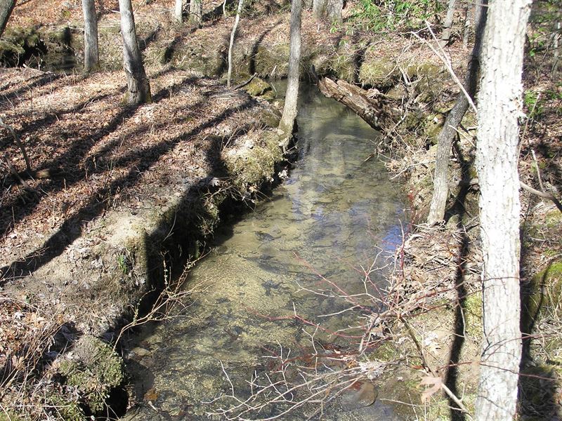 Creek, Woods, Private, Country : Spencer : Van Buren County : Tennessee
