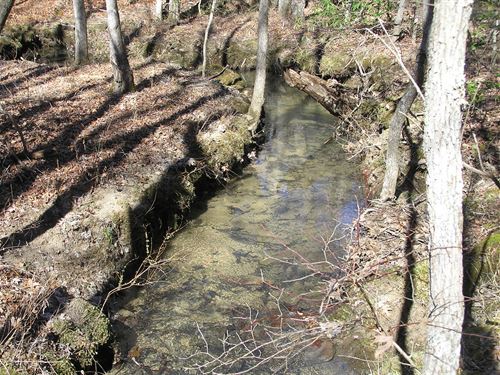Creek, Woods, Private, Country : Spencer : Van Buren County : Tennessee
