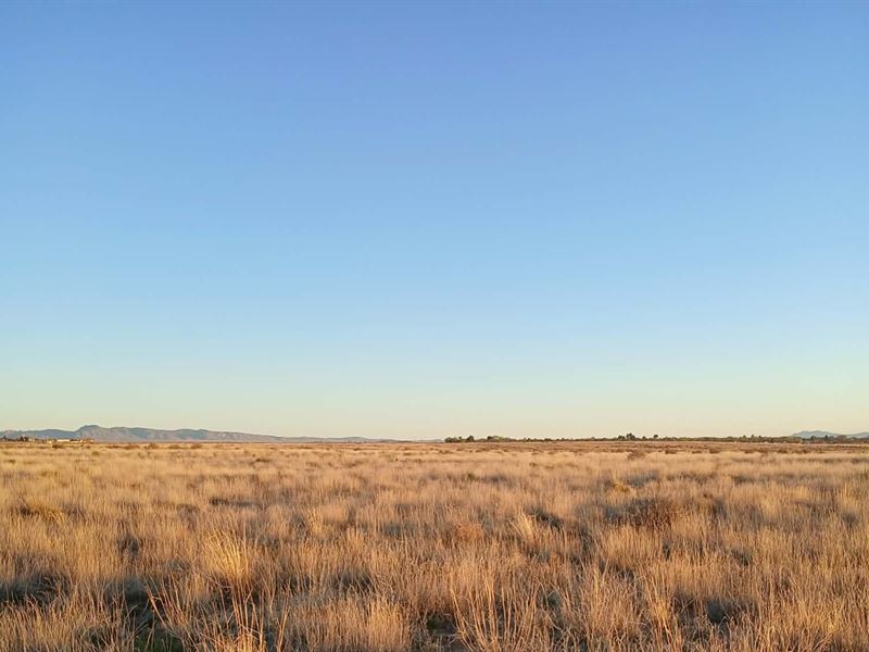 Secluded 0.42 Ac, 11 Min From Belen : Belen : Valencia County : New Mexico