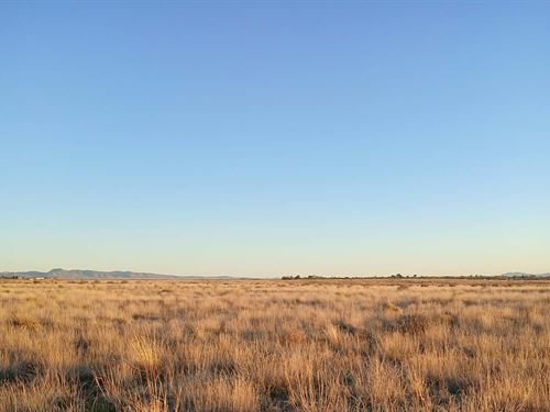Secluded 0.42 Ac, 11 Min From Belen : Belen : Valencia County : New Mexico