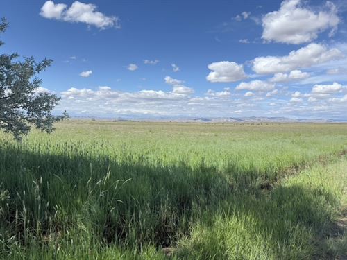 Masters Irrigated Farm : Powell : Big Horn County : Wyoming