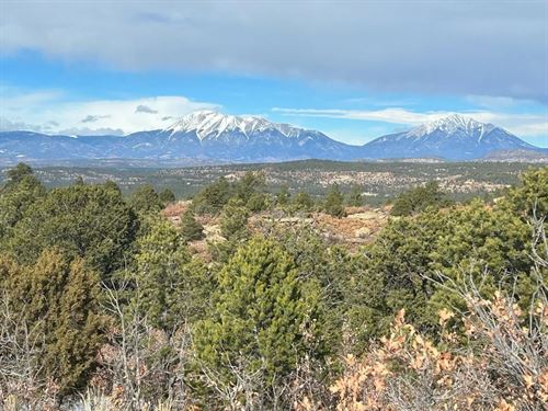 Primero Ranch Road, Weston, CO 810 : Weston : Las Animas County : Colorado