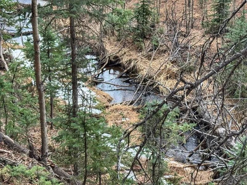 132 Aspen Acres, Rye, CO 81252 : Rye : Pueblo County : Colorado