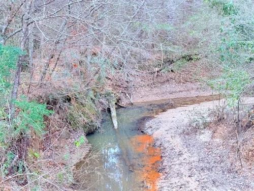 42 Acres on Busy Corner Rd, Amite : Gloster : Amite County : Mississippi
