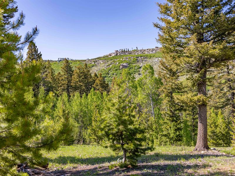 Creekside Mountain Lot : Lander : Fremont County : Wyoming