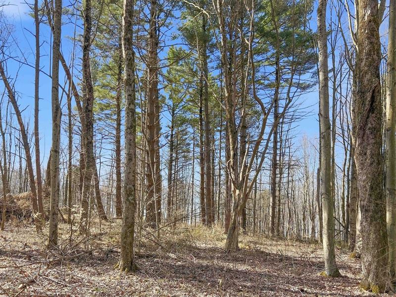Griffith Rd, 40 Acres : Logan : Hocking County : Ohio