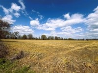 Online Auction, 59+/- Acres : Bells : Crockett County : Tennessee