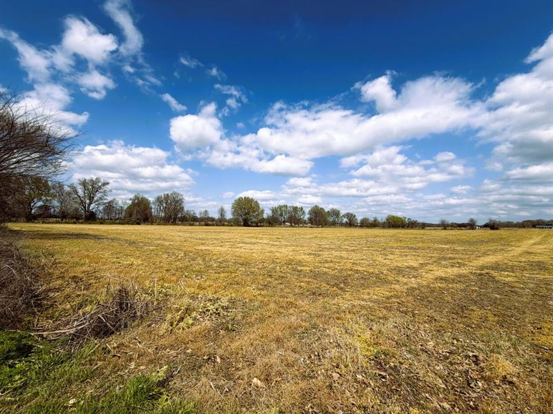Online Auction, 59+/- Acres : Bells : Crockett County : Tennessee
