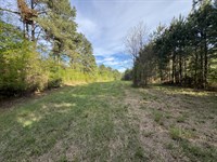 Prime Development Land : Brookhaven : Lincoln County : Mississippi