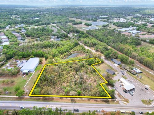 Lithia Pinecrest Commercial : Lithia : Hillsborough County : Florida