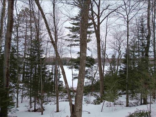 Waterfront Lot in Gogebic County : Watersmeet : Gogebic County : Michigan