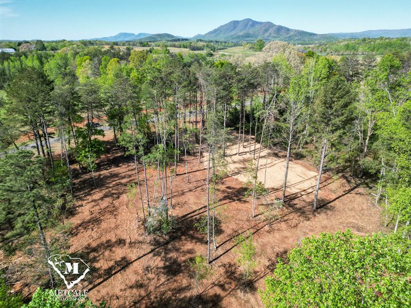 3.64 Acres in Tryon Equestrian Farm : Mill Spring : Polk County : North Carolina