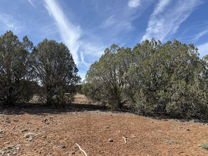 Show Low AZ Land for Sale : Show Low : Navajo County : Arizona