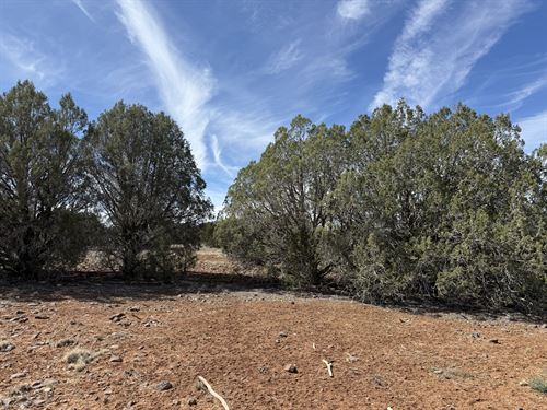Show Low AZ Land for Sale : Show Low : Navajo County : Arizona