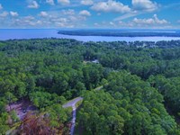 Flat, Treed, Lake Access $175/Mo : Georgetown : Putnam County : Florida