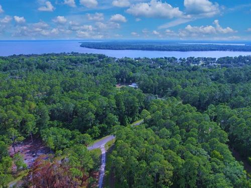 Flat, Treed, Lake Access $175/Mo : Georgetown : Putnam County : Florida