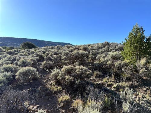 Allowed Tiny, Mobile Home, Camping : San Luis : Costilla County : Colorado