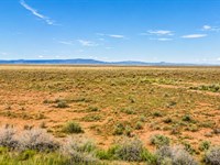 2.5 Acres Near Ganado, Az. $150/Mo : Winslow : Navajo County : Arizona