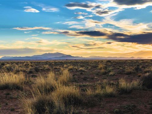 2.5 Acres Arizona Land Easy $150/Mo : Winslow : Navajo County : Arizona