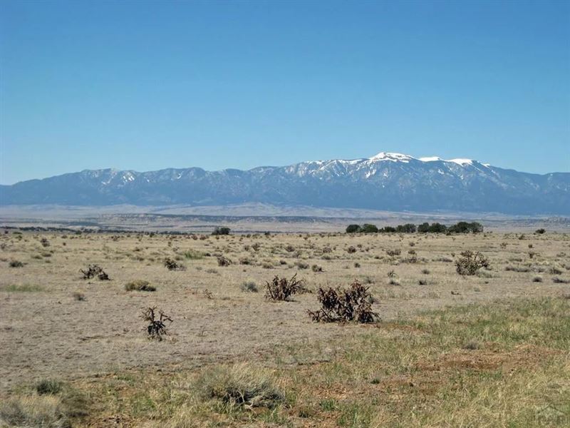 W Turkey Ridge Ranch Filing 2 53 : Walsenburg : Huerfano County : Colorado
