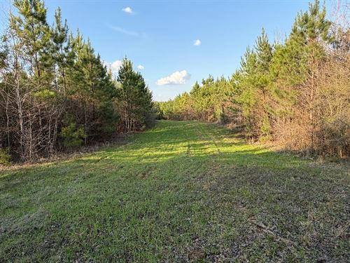 Brush Creek Tract : Brush Creek : Perry County : Alabama
