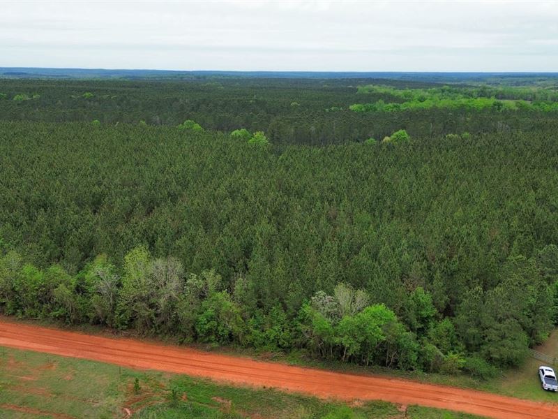 77 Acres Randolph County, GA : Cuthbert : Randolph County : Georgia