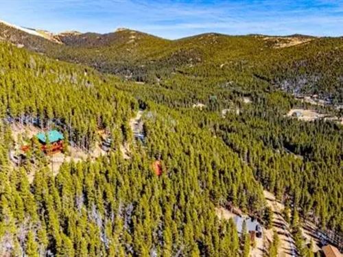.38 Acres Beautiful Mountain Lot : Idaho Springs : Clear Creek County : Colorado