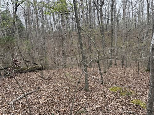 Creekside Unrestricted KY Land : New Concord : Calloway County : Kentucky