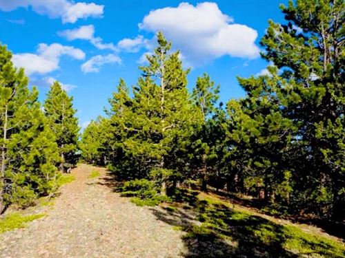 2.77 Acres Secluded Beautiful Lot : Idaho Springs : Clear Creek County : Colorado