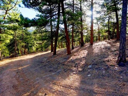 3.448 Acres Beautiful Mountain Land : Idaho Springs : Clear Creek County : Colorado