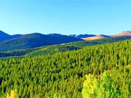3.9 Acres Wooded Mountain Getaway : Idaho Springs : Clear Creek County : Colorado