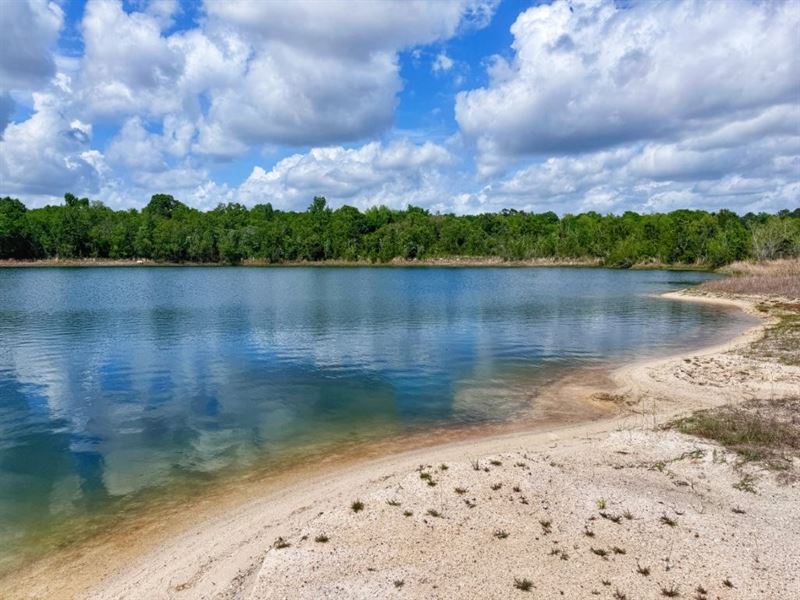 Pearl River Legacy Tract : Picayune : Pearl River County : Mississippi