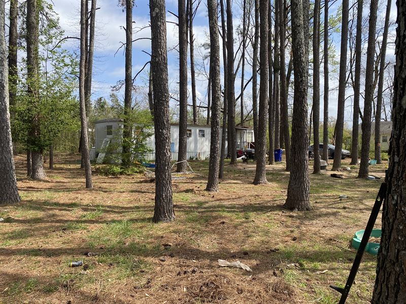 Land for Sale in Savannah TN : Savannah : Hardin County : Tennessee