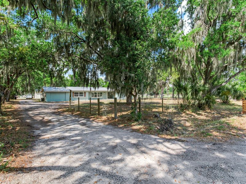 Allen Road Homestead : Lithia : Hillsborough County : Florida