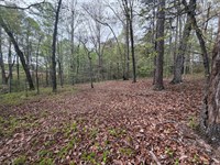 Alto Industrial Tract : Alto : Banks County : Georgia