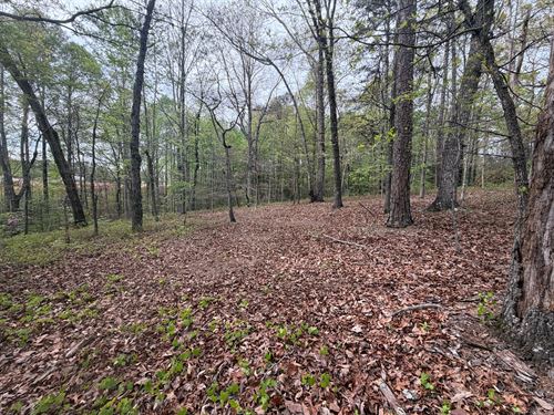 Alto Industrial Tract : Alto : Banks County : Georgia