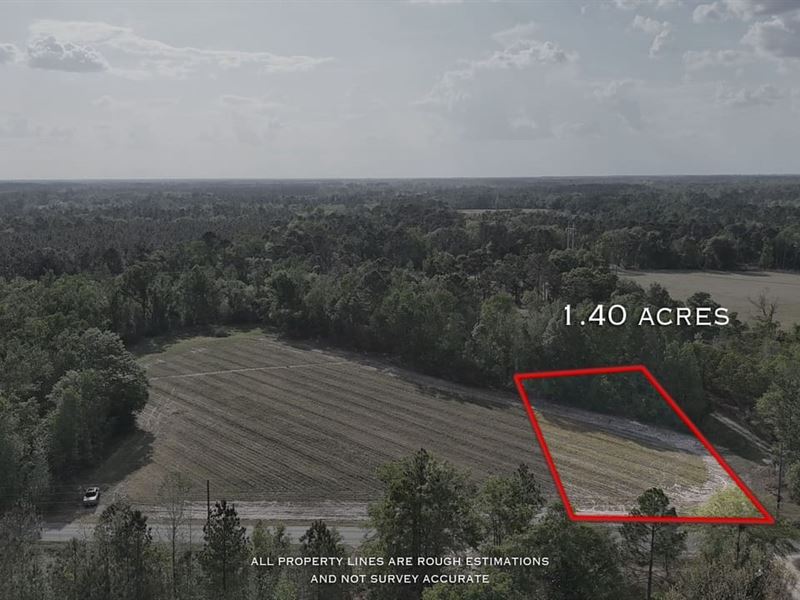1.40 Acre, Tract 1, Spring Branch : Baxley : Appling County : Georgia