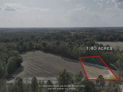 1.40 Acre, Tract 1, Spring Branch : Baxley : Appling County : Georgia